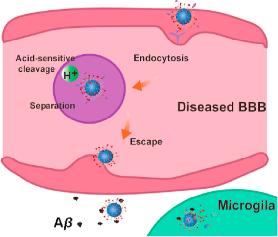 Unlock in Blood Brian Barrier