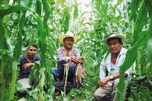 Primeros subsidios para agricultores y ganaderos