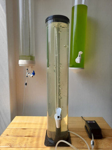 Creación del primer biorreactor de columna