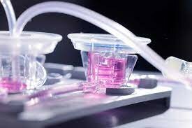 Un biorreactor de cultivo tisular para cultivar células cancerosas