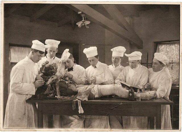 Medical students learning