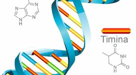 Timeline: Aportaciones de la Biología Molecular