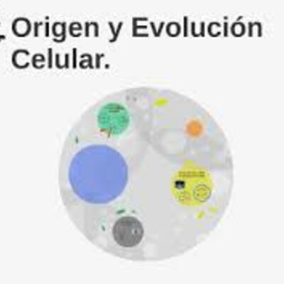 Timeline:  inicios del planeta tierra y la  evolución celular de procariotas y eucariotas