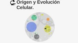Timeline:  inicios del planeta tierra y la  evolución celular de procariotas y eucariotas