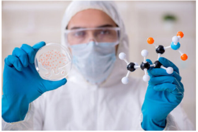 Completion of the Human Genome Draft