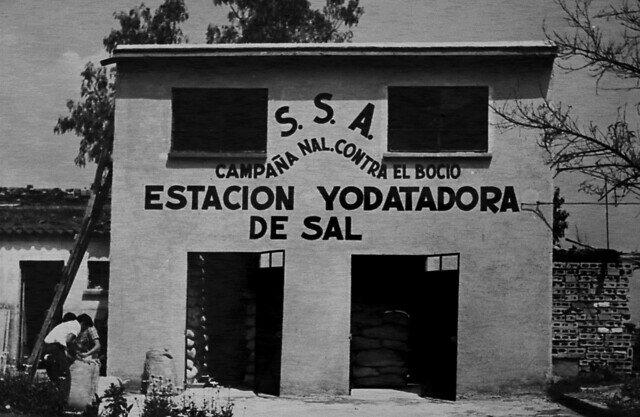 Primer programa de iodacion de la sal