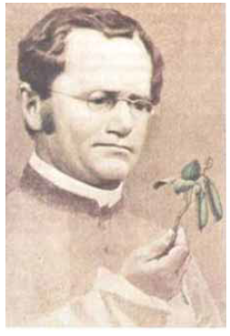 Gregor Mendel