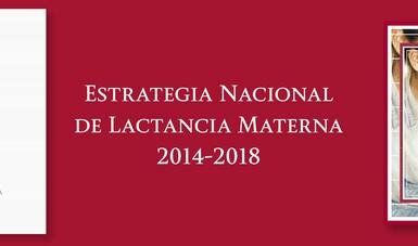 Estrategia Nacional de Lactancia Materna (ENLM)
