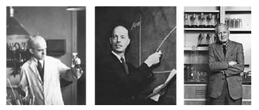 Oswald Theodore Avery, Colin MacLeod y Maclyn McCarty