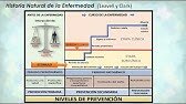 Historia natural de la enfermedad