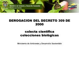 Decreto 309 2000
