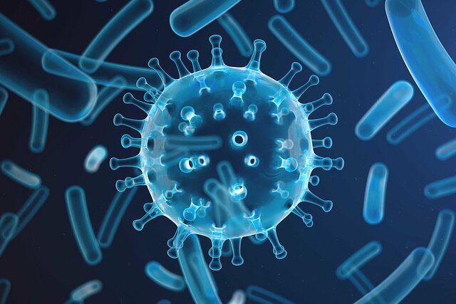 How do they treat disease?