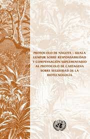 Protocolo suplementario