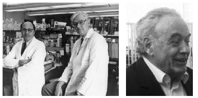 Hamilton Smith, Daniel Nathans, Werner Arber