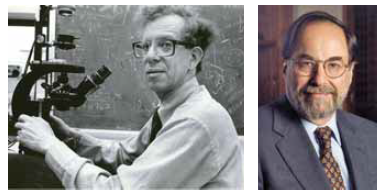 Howard Martin Temin y David Baltimore