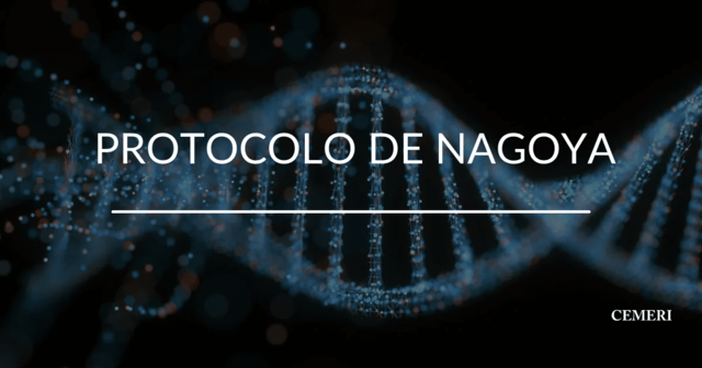 Protocolo de Nagoya