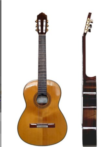 La guitarra es reconocida