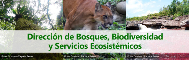 Decreto Ley 3570 de 2011