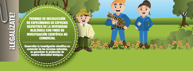 Decreto 1376 de 2013