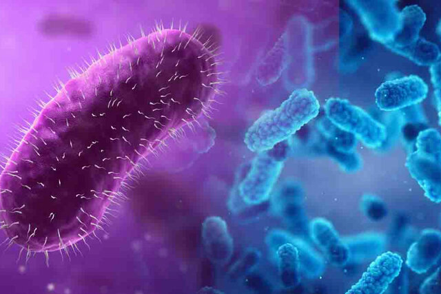 Reconocimiento de microorganismos infecciosos