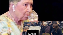 Timeline: Jošt Badovinac