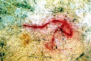 Figura d'un cavall a la Serranía de Ronda. (Foto: Pedro Cantalejo)