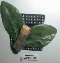 Tactile Symbols System Created