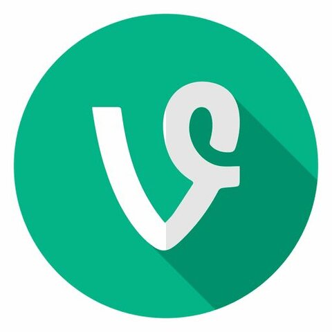 Vine was launched