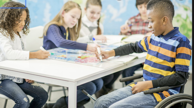 IDEA (Individuals with Disabilities Education Act)