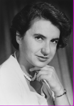 Descubrimiento de la estructura del ADN, Rosalind Franklin 1950-1953