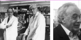 Sistema controlado de restricción-modificación Hamilton Smith, Daniel Nathans, Werner Arber