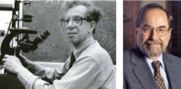 Descubrimiento de enzima Transcriptasa, Howard Temin y David Baltimore