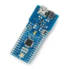 Arduino Fio