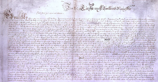 PETICIÓN DE LOS DERECHOS