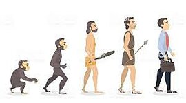 Timeline: Antecedentes Históricos de la Administración