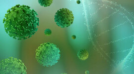 Timeline: Normatividad y Regulación para implementar la bioprospección en Colombia