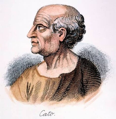 CATÓN (ROMA)