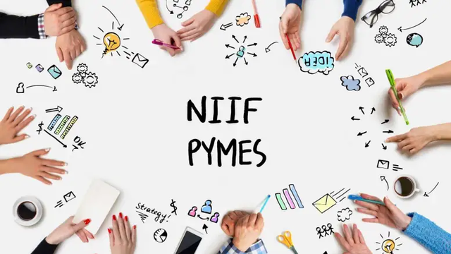 NIIF para PyMES.
