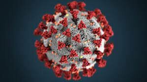 Coronavirus