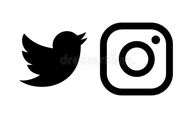Instagram & Twitter