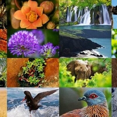 Timeline: Normatividad y Regulación para hacer bioprospección en Colombia y Norrmas internacionales que regulan la explotación de Biodiversidad en Latinoamérica