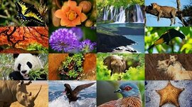 Timeline: Normatividad y Regulación para hacer bioprospección en Colombia y Norrmas internacionales que regulan la explotación de Biodiversidad en Latinoamérica