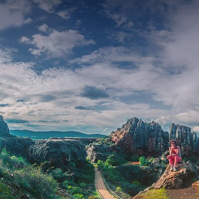 Timeline: Origen de la vida