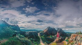 Timeline: Origen de la vida