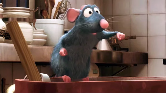 Remy Cooks