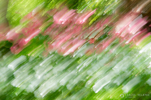 ABSTRACCIÓN (1913-1945)