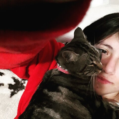 Pequeña criatura atrigrada