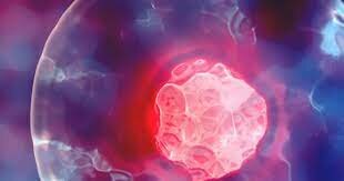 Origen de les cèl·lules eucariotes