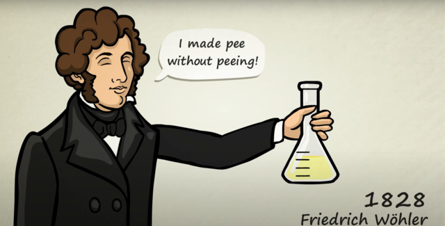 Friedrich Wöhler crea urea