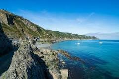 First wireless communication